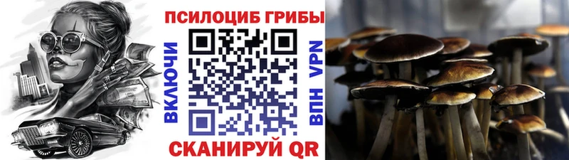 продажа наркотиков  Струнино  Псилоцибиновые грибы MAGIC MUSHROOMS 