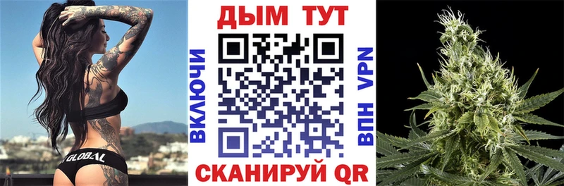 kraken маркетплейс Струнино Бошки марихуана гибрид